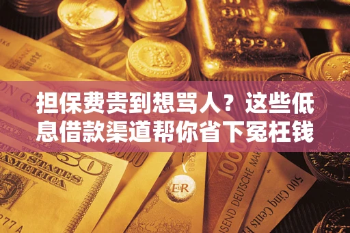 济南担保费贵到想骂人？这些低息借款渠道帮你省下冤枉钱
