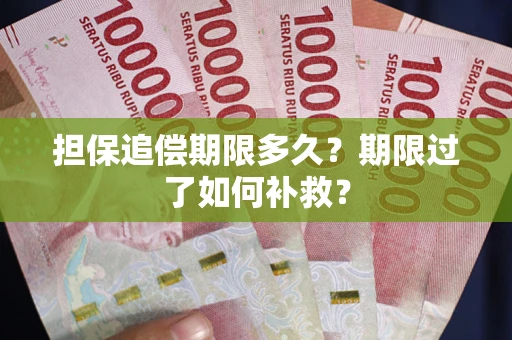 济南担保追偿期限多久？期限过了如何补救？