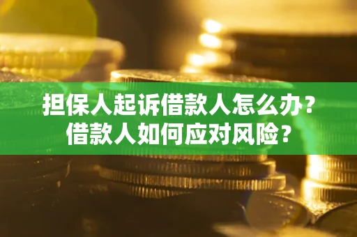 济南担保人起诉借款人怎么办？借款人如何应对风险？