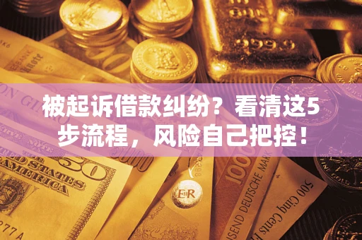 济南被起诉借款纠纷？看清这5步流程，风险自己把控！